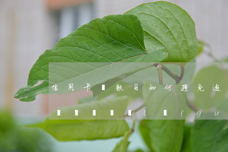 信用卡還款日如何避免逾期問(wèn)題？關(guān)鍵步驟與技巧分享
